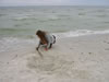 Dueodde Strand (62kb)