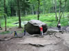 Paradisbakkerne bos: Rokkesten (144kb)