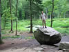 Paradisbakkerne bos: Rokkesten (139kb)
