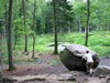 Paradisbakkerne bos: Rokkesten (135kb)