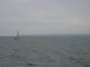Op de veerboot naar Duitsland (30kb)