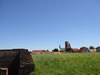 Ribe (55kb)