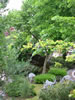 Billund - Legoland (167kb)