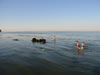 Lundeborg Strand Camping  (44kb)