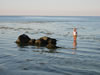 Lundeborg Strand Camping  (73kb)