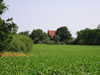 102_0211_IMG.jpg (113kb)
