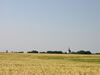 102_0218_IMG.jpg (46kb)