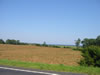 102_0244_IMG.jpg (45kb)