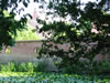 Broholm (162kb)