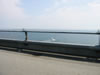 Grote Belt Brug (30kb)