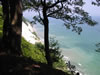 Møns Klint (104kb)