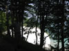 Møns Klint (116kb)