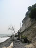 Møns Klint (76kb)