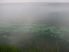 Stevns Klint (51kb)