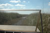 Airboat ride through the Everglades (66kb)