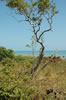 Florida Keys - Bahia Honda State Park (140kb)