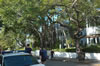 Key West (141kb)