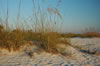 The beach at Sanibel Island (113kb)