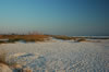 The beach at Sanibel Island (83kb)