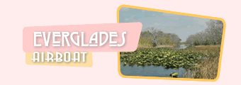 Everglades Airboat