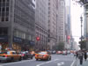 5th Avenue (97kb)