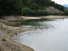 107_0781_IMG.jpg (95kb)