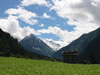 Stubaital: in de verte de Stubai Gletsjer (75kb)