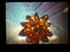 Wattens: Swarovski Kristalwelten (50kb)