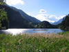 Pitburger see (113kb)