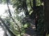 Pitburger see (127kb)