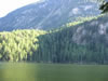 Pitburger see (93kb)