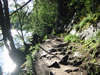 Pitburger see (173kb)