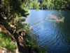 Pitburger see (147kb)