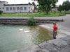 Zwitzerland: Bodensee (102kb)