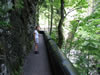 Rappenlochslucht en Alplochslucht (134kb)