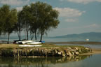 Lago Trasimeno (85kb)